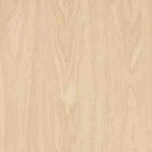 7911 Manitoba Maple